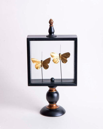 Butterfly Glass Display - Small
