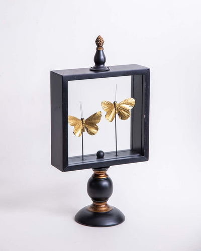 Butterfly Glass Display - Small