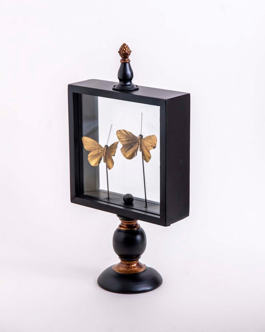 Butterfly Glass Display - Small