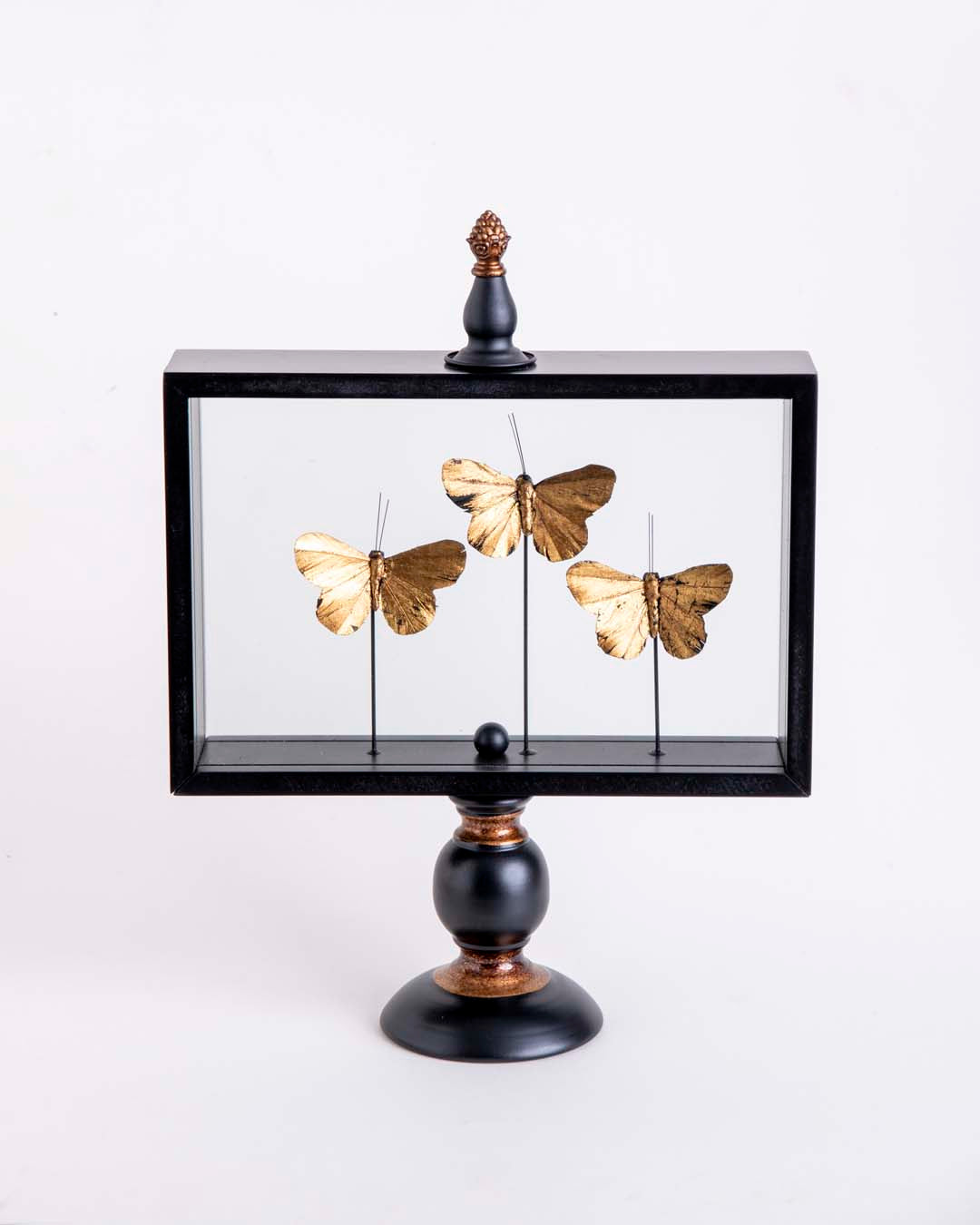 Butterfly Glass Display - Large