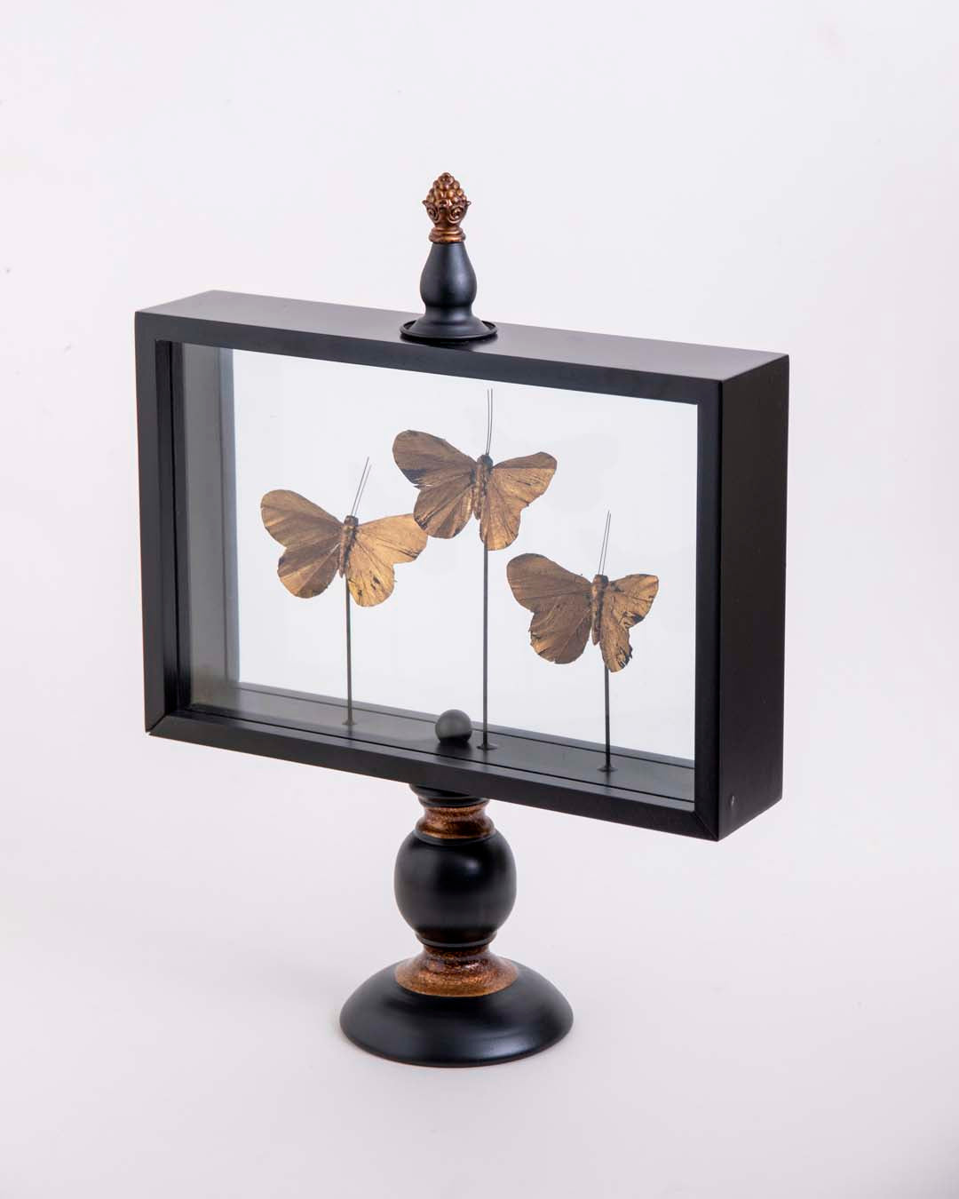 Butterfly Glass Display - Large