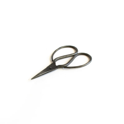 Barin scissor