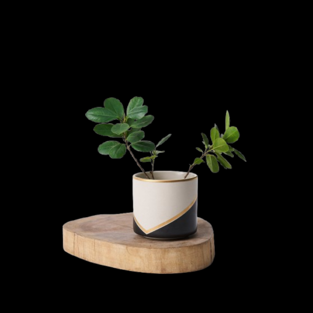 Ila Vase
