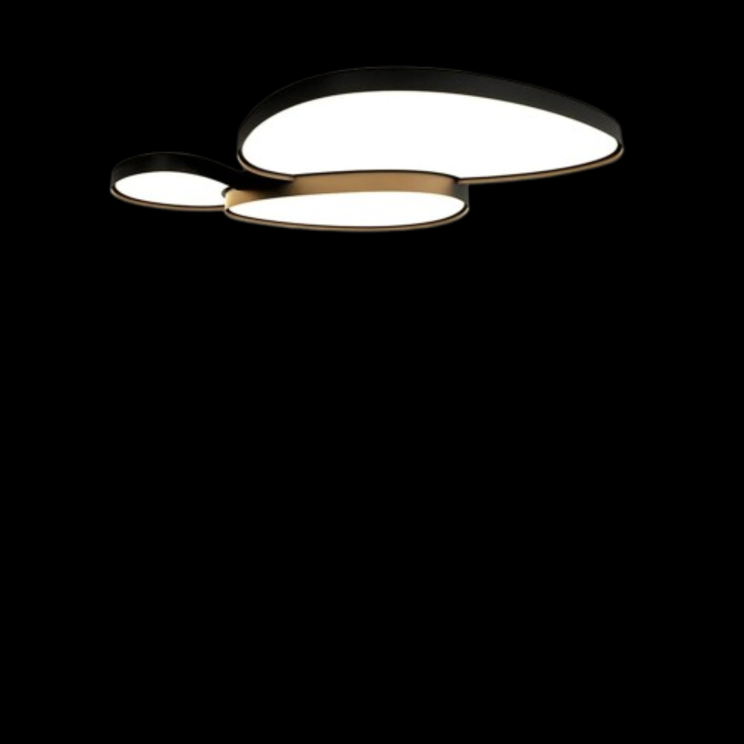Fashion Led Ceiling Lamps Dimmable Black White Compatible with Living Room Bedroom Bathroom Home Decor Indoor Lighting Luster Fixture,Led Ceiling Pendant Lamp