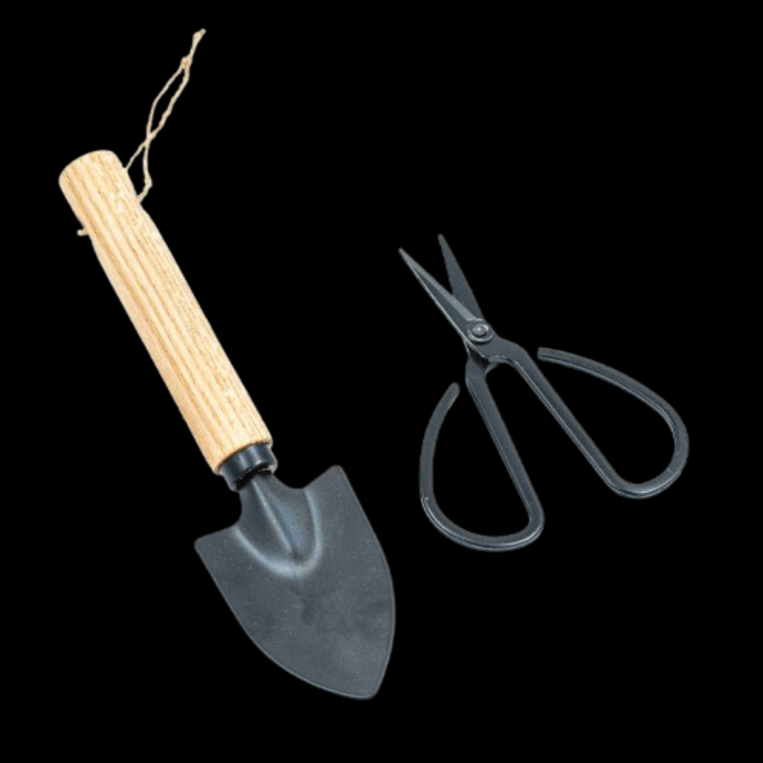 Stainless Garden Tool (Set of 2)