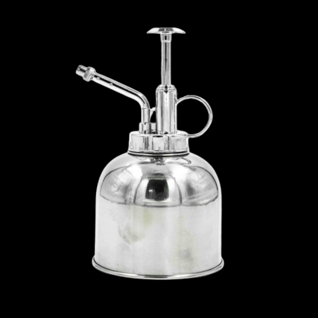 Stainless Steel Plant Watering Can