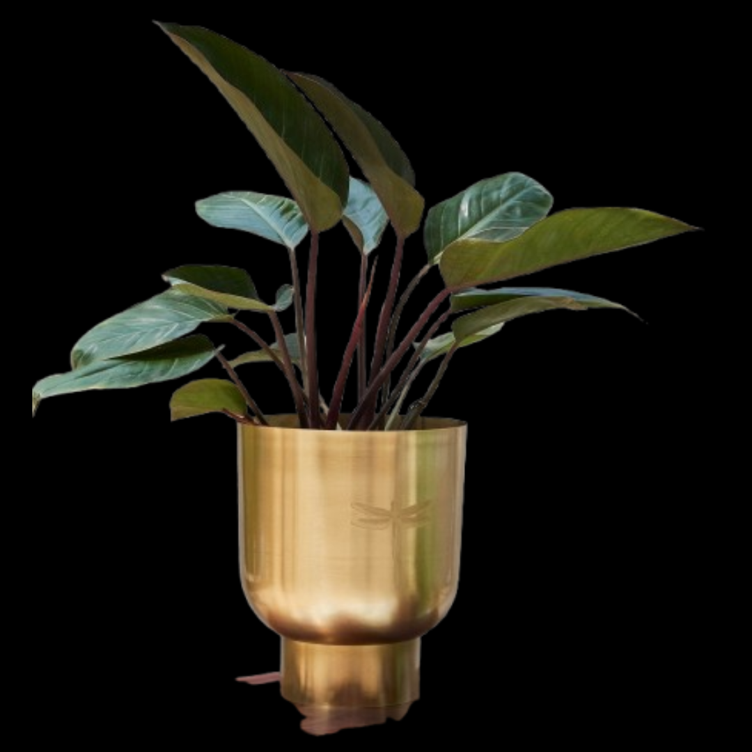 Luna Planter