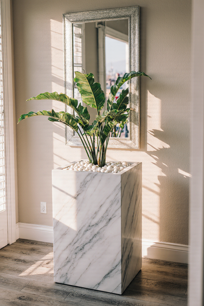 Luxury Marble Planter with Decorative White Pebbles